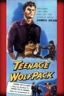 Poster of Teenage Wolfpack