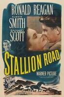 Poster of Stallion Road
