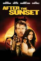 Poster of After the Sunset