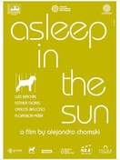 Poster of Asleep in the Sun