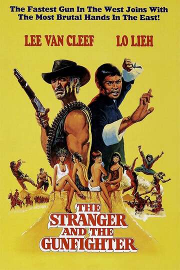 Poster of The Stranger and the Gunfighter