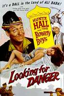 Poster of Looking for Danger