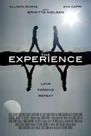 Poster of The Experience