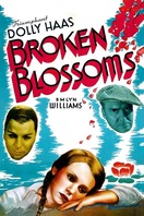 Poster of Broken Blossoms