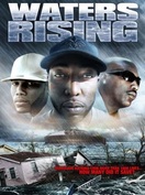 Poster of Waters Rising