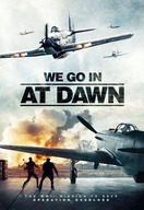 Poster of We Go in at Dawn