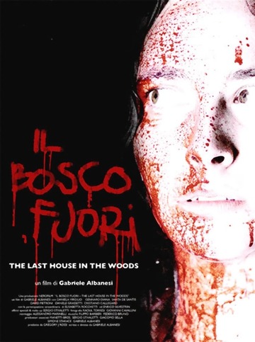 Poster of The Last House in the Woods
