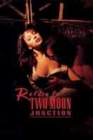 Poster of Return to Two Moon Junction