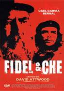Poster of Fidel