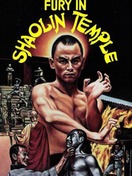 Poster of Fury in Shaolin Temple