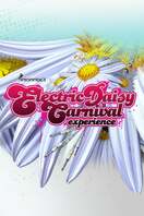 Poster of Electric Daisy Carnival Experience