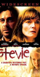 Poster of Stevie