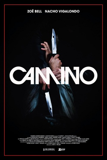 Poster of Camino