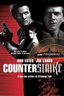 Poster of Counterstrike