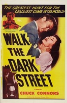 Poster of Walk the Dark Street
