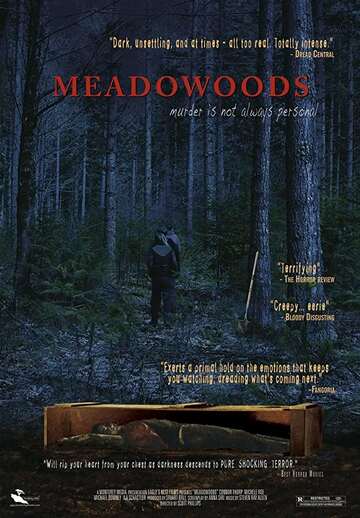 Poster of Meadowoods