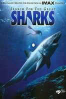 Poster of Search for the Great Sharks