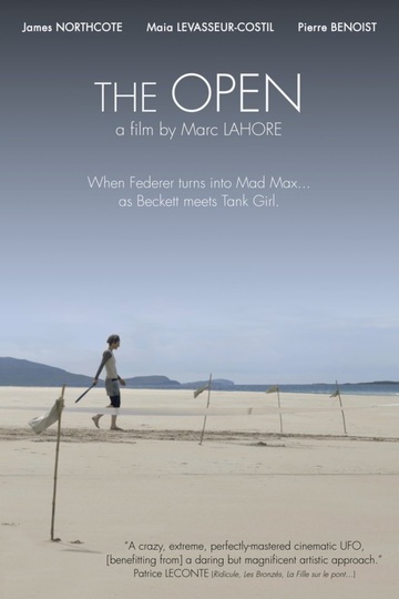 Poster of The Open