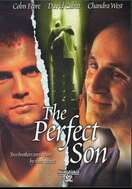 Poster of The Perfect Son