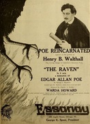 Poster of The Raven