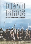 Poster of Dead Birds