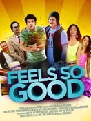 Poster of Feels So Good