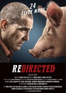 Poster of Redirected