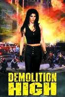 Poster of Demolition High