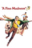 Poster of A Fine Madness