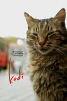 Poster of Kedi