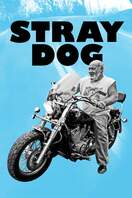 Poster of Stray Dog