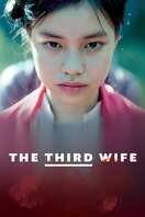 Poster of The Third Wife