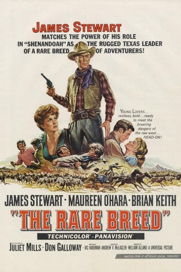 Poster of The Rare Breed