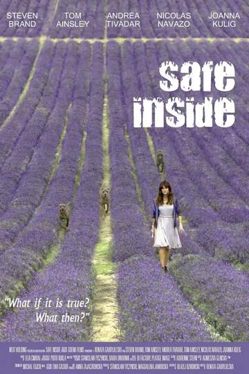 Poster of Safe Inside