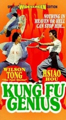 Poster of Kung Fu Genius