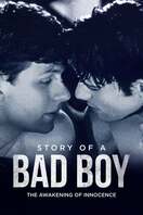 Poster of Story of a Bad Boy