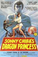 Poster of Dragon Princess