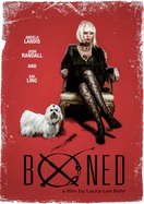 Poster of Boned