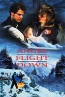 Poster of Angel Flight Down