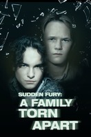 Poster of Sudden Fury