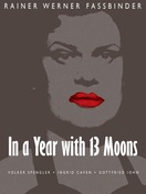 Poster of In a Year with 13 Moons
