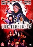 Poster of Top Fighter 2
