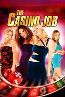 Poster of The Casino Job