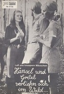 Poster of Hansel and Gretel Lost in the Forest