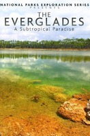 Poster of National Parks Exploration Series: The Everglades