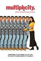 Poster of Multiplicity
