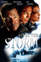 Poster of After the Storm