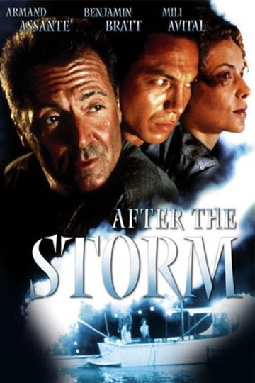 Poster of After the Storm