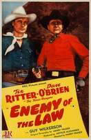 Poster of Enemy of the Law