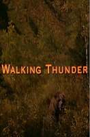 Poster of Walking Thunder